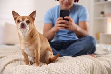 Photo of Cute dog and teenage boy with smartphone on bed at home, selective focus