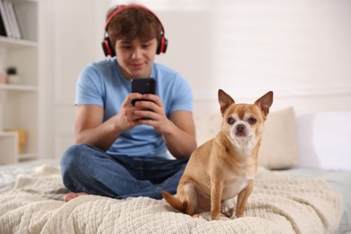 Photo of Cute dog and teenage boy with smartphone on bed at home, selective focus
