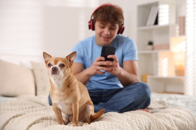 Photo of Cute dog and teenage boy with smartphone on bed at home, selective focus