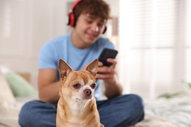Photo of Cute dog and teenage boy with smartphone on bed at home, selective focus