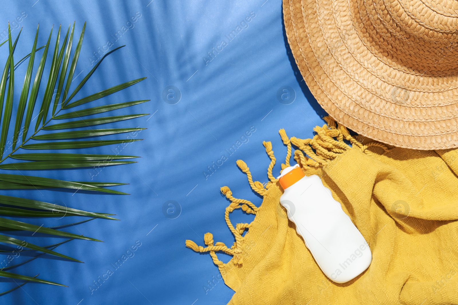 Beach accessories and palm leaf on blue background, flat lay. Space for text Photo of Beach accessories and palm leaf on blue background, flat lay. Space for text
