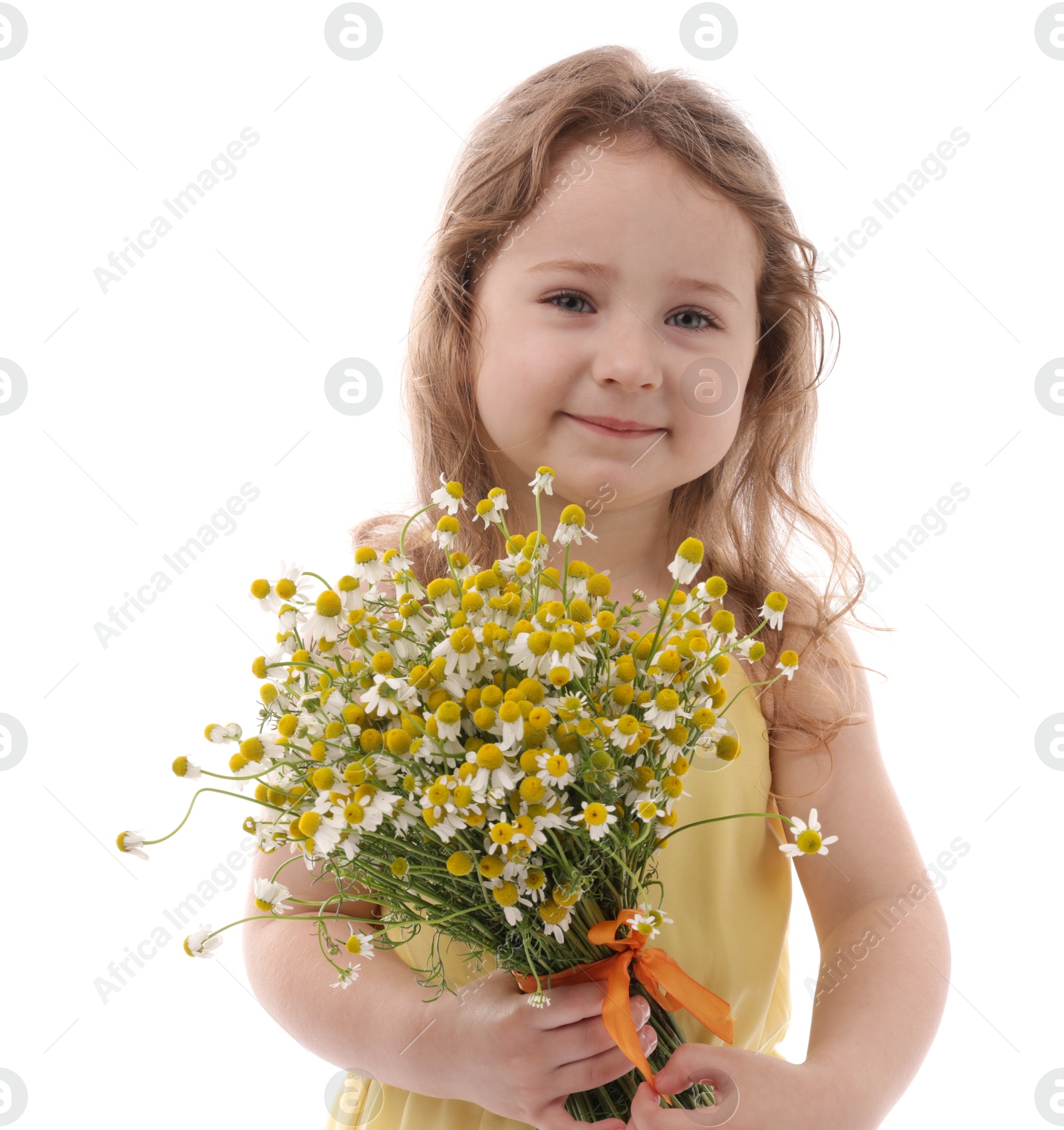Photo of Cute little girl with bouquet of beautiful chamomile flowers on white background