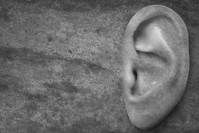 Image of Human ear in grey stone wall, space for text. Eavesdropping, concept that even walls have ears