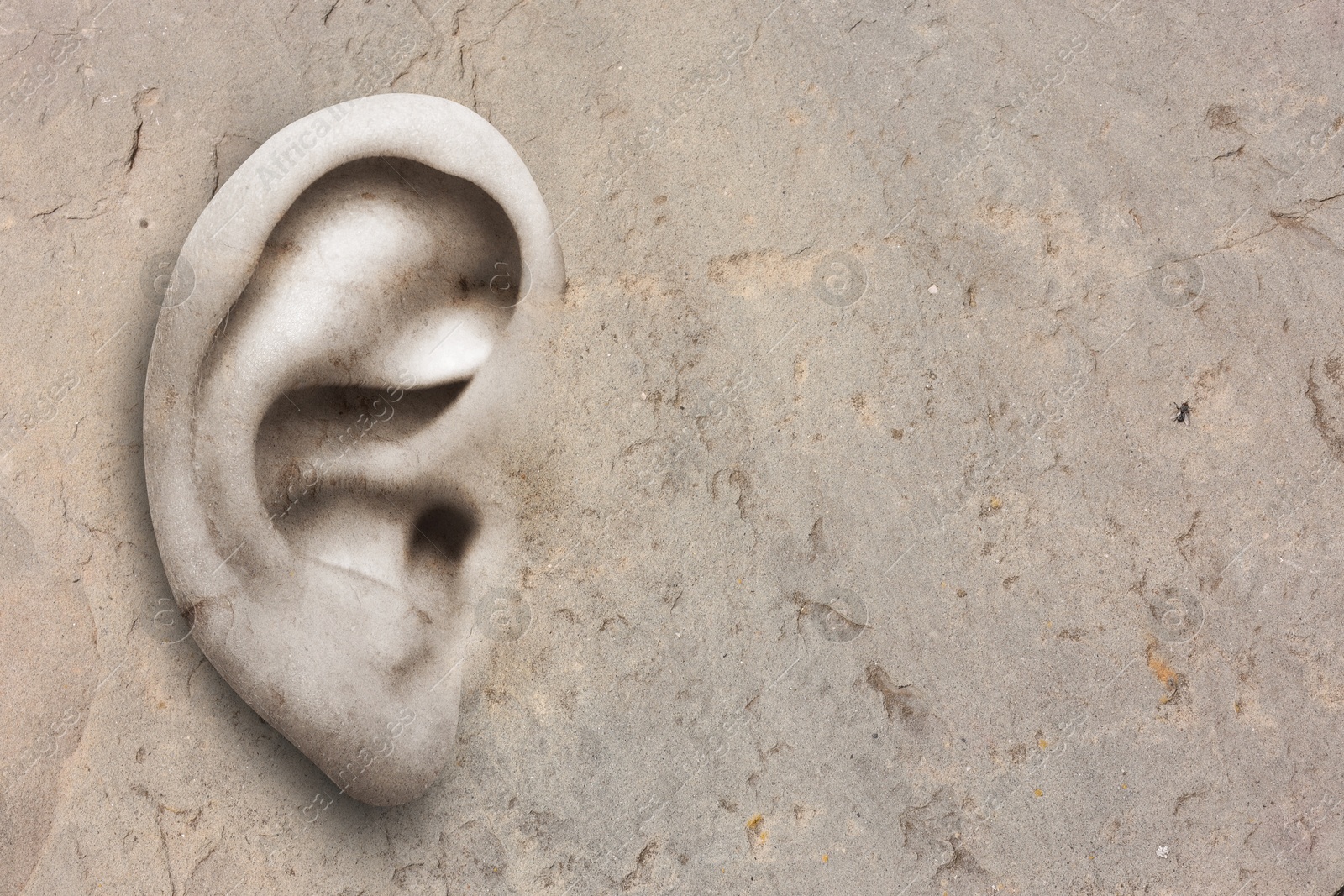 Image of Human ear in grey stone wall, space for text. Eavesdropping, concept that even walls have ears