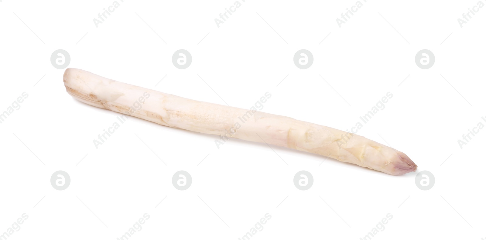 One raw asparagus spear isolated on white Photo of One raw asparagus spear isolated on white