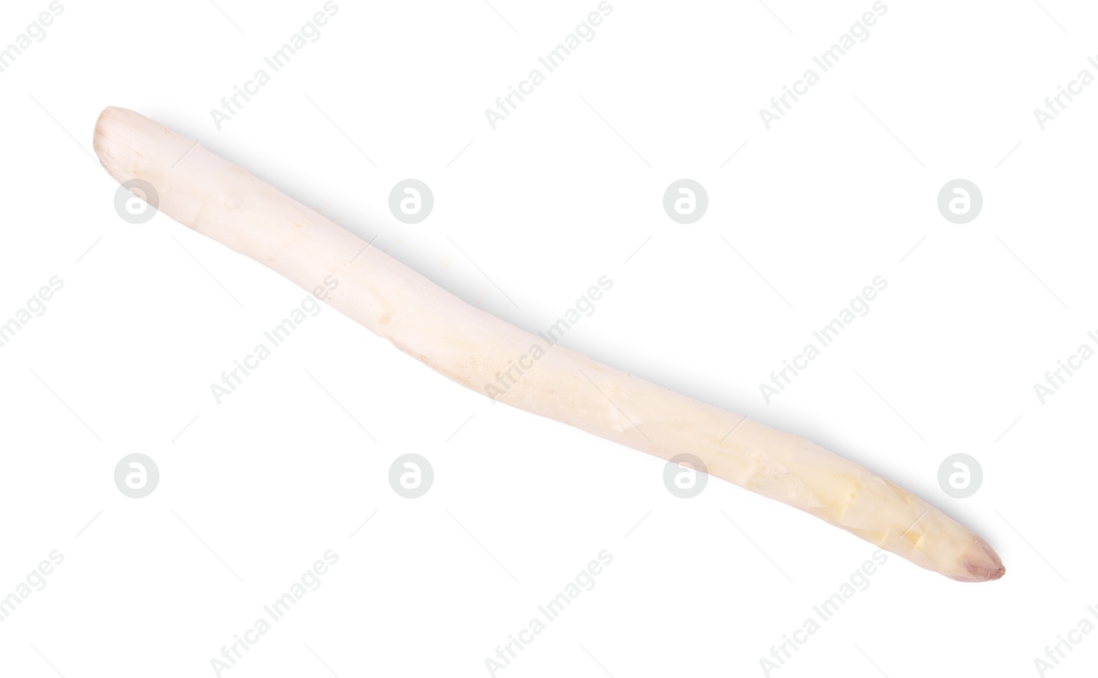 One raw asparagus spear isolated on white Photo of One raw asparagus spear isolated on white