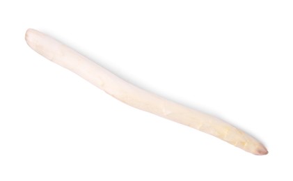 Photo of One raw asparagus spear isolated on white