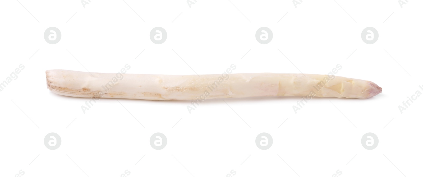One raw asparagus spear isolated on white Photo of One raw asparagus spear isolated on white
