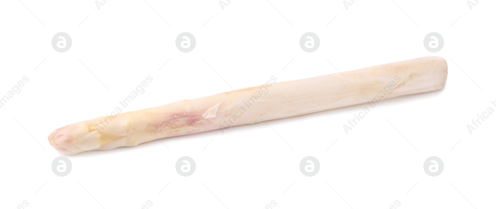 Photo of One raw asparagus spear isolated on white