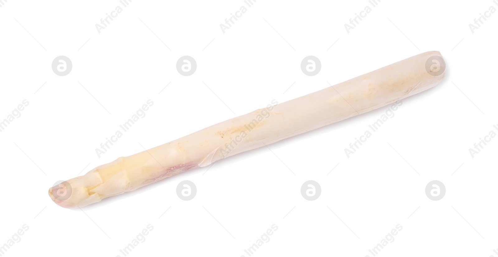One raw asparagus spear isolated on white Photo of One raw asparagus spear isolated on white