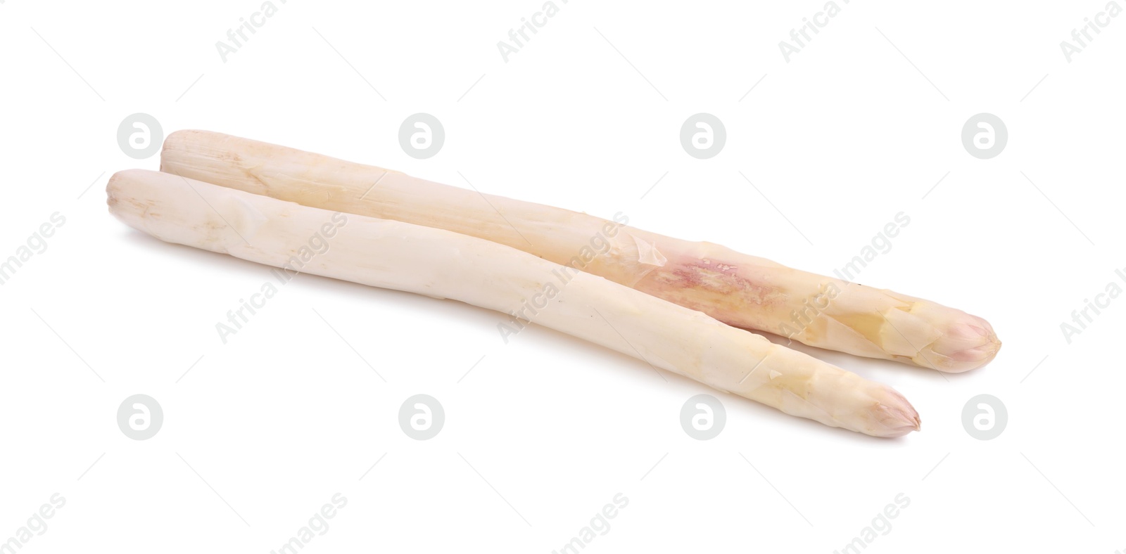Two raw asparagus spears isolated on white Photo of Two raw asparagus spears isolated on white