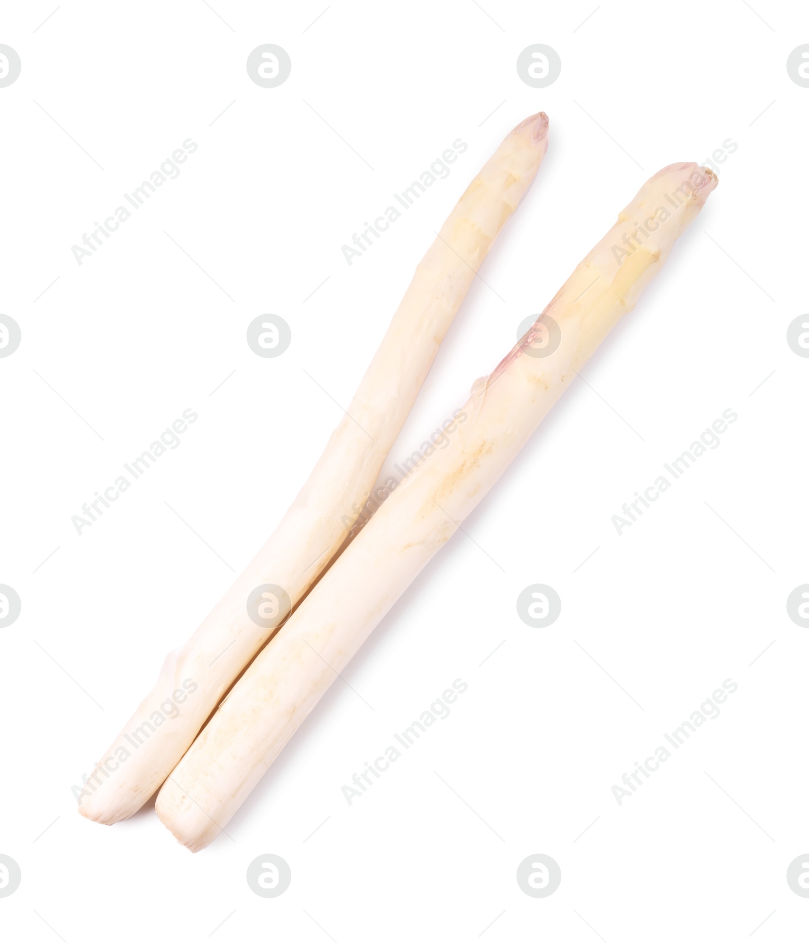 Two raw asparagus spears isolated on white, top view Photo of Two raw asparagus spears isolated on white, top view