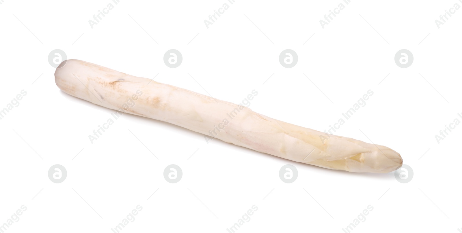 One raw asparagus spear isolated on white Photo of One raw asparagus spear isolated on white