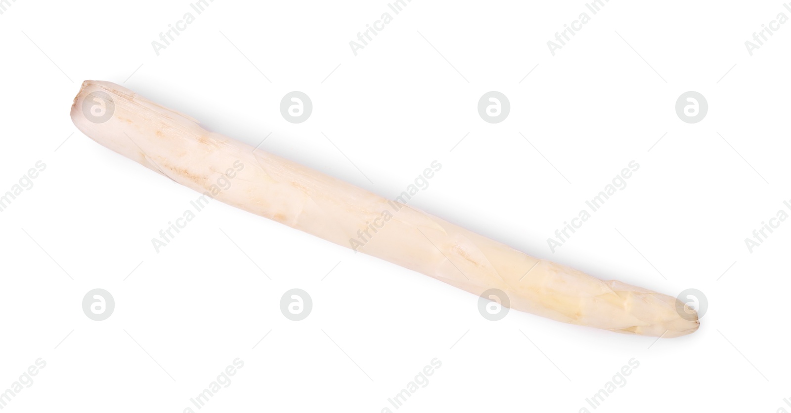 One raw asparagus spear isolated on white Photo of One raw asparagus spear isolated on white