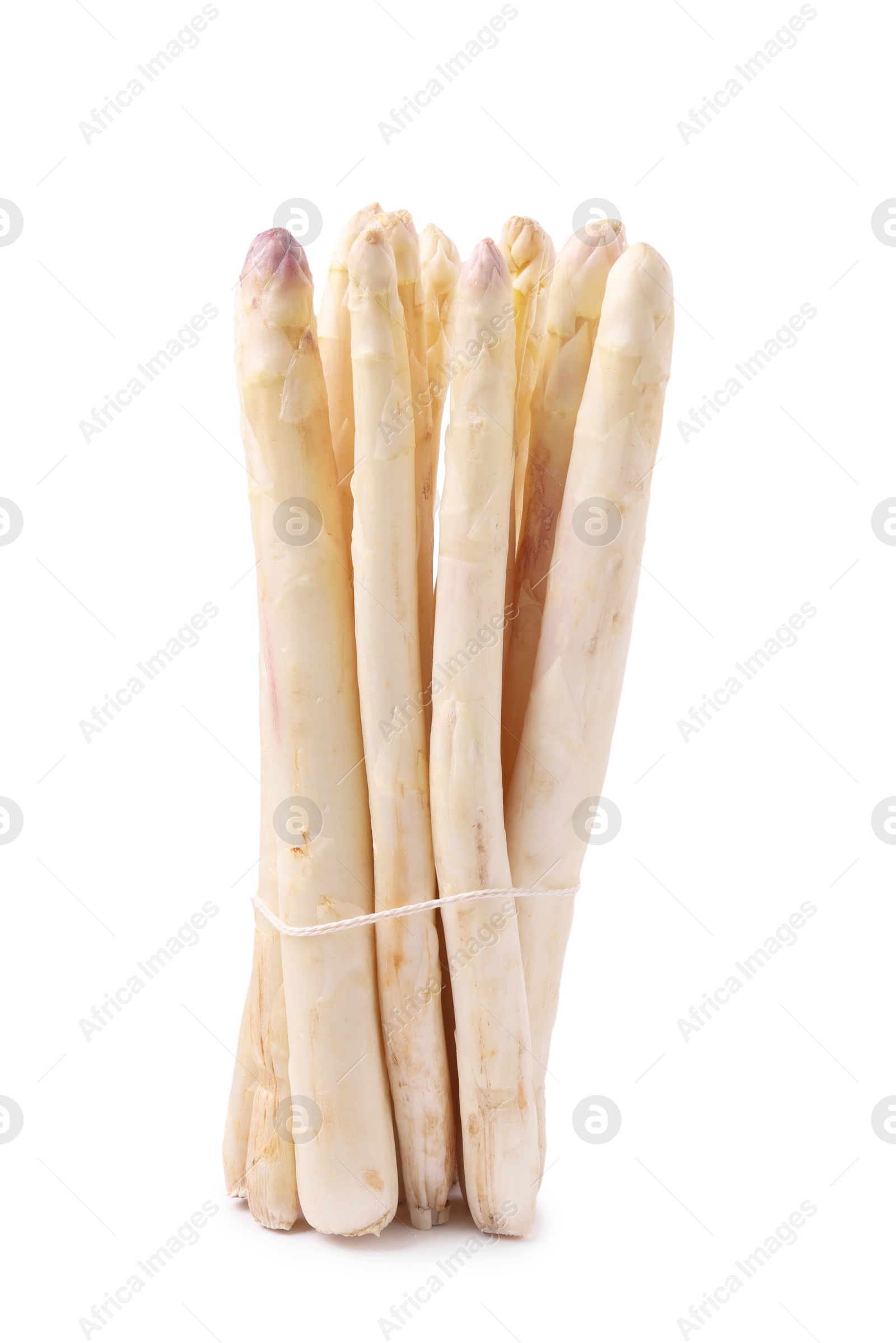 Bunch of raw asparagus spears isolated on white Photo of Bunch of raw asparagus spears isolated on white