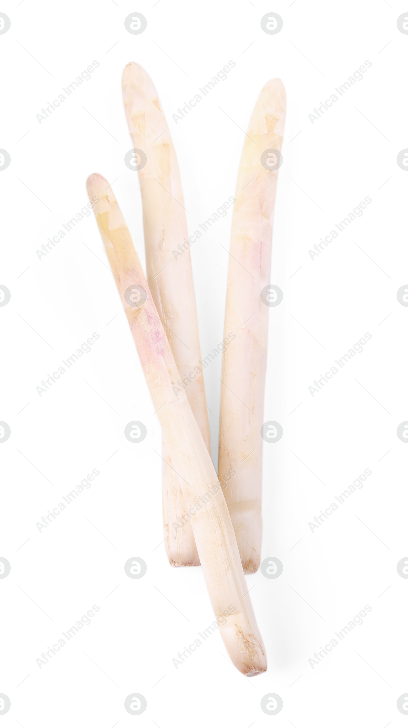 Three raw asparagus spears isolated on white Photo of Three raw asparagus spears isolated on white