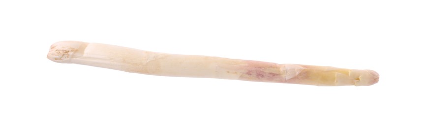 Photo of One raw asparagus spear isolated on white