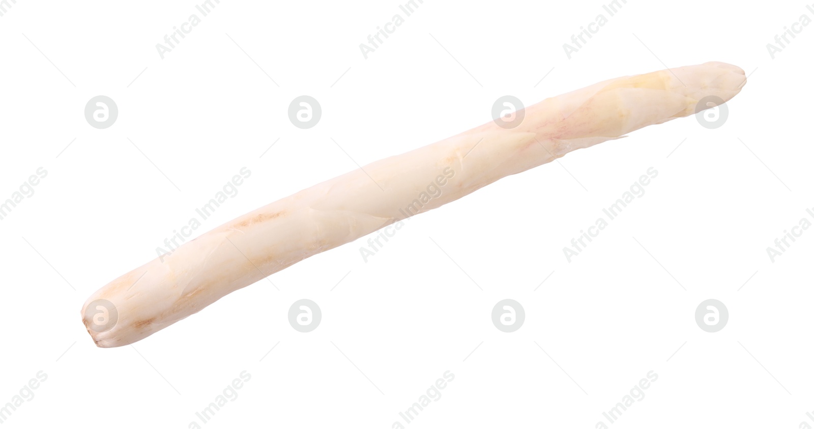One raw asparagus spear isolated on white Photo of One raw asparagus spear isolated on white