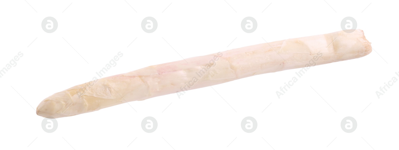 One raw asparagus spear isolated on white Photo of One raw asparagus spear isolated on white