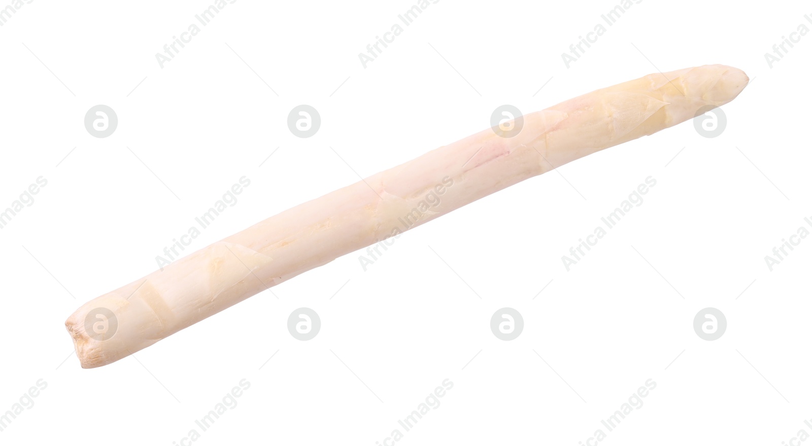 One raw asparagus spear isolated on white Photo of One raw asparagus spear isolated on white