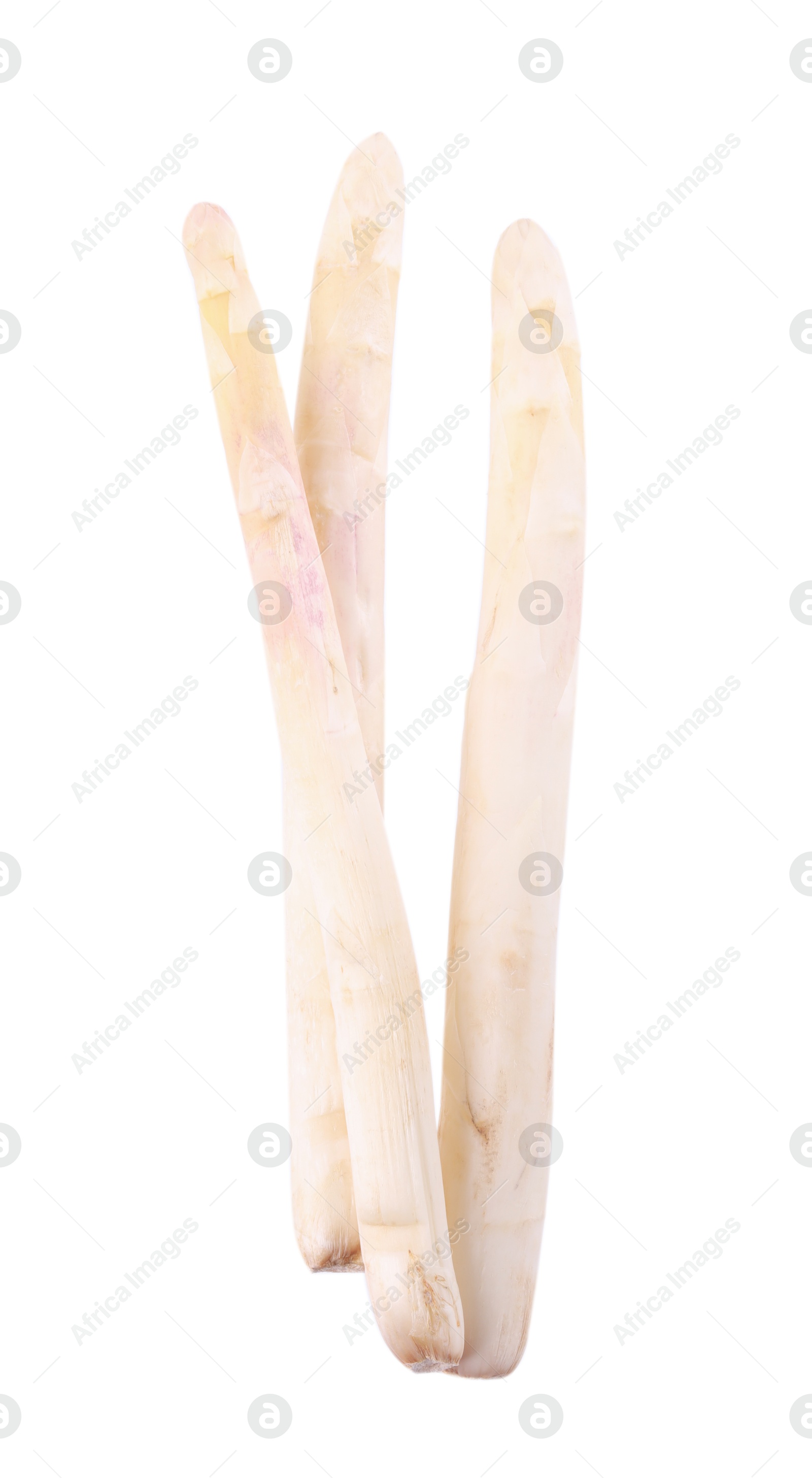 Three raw asparagus spears isolated on white Photo of Three raw asparagus spears isolated on white