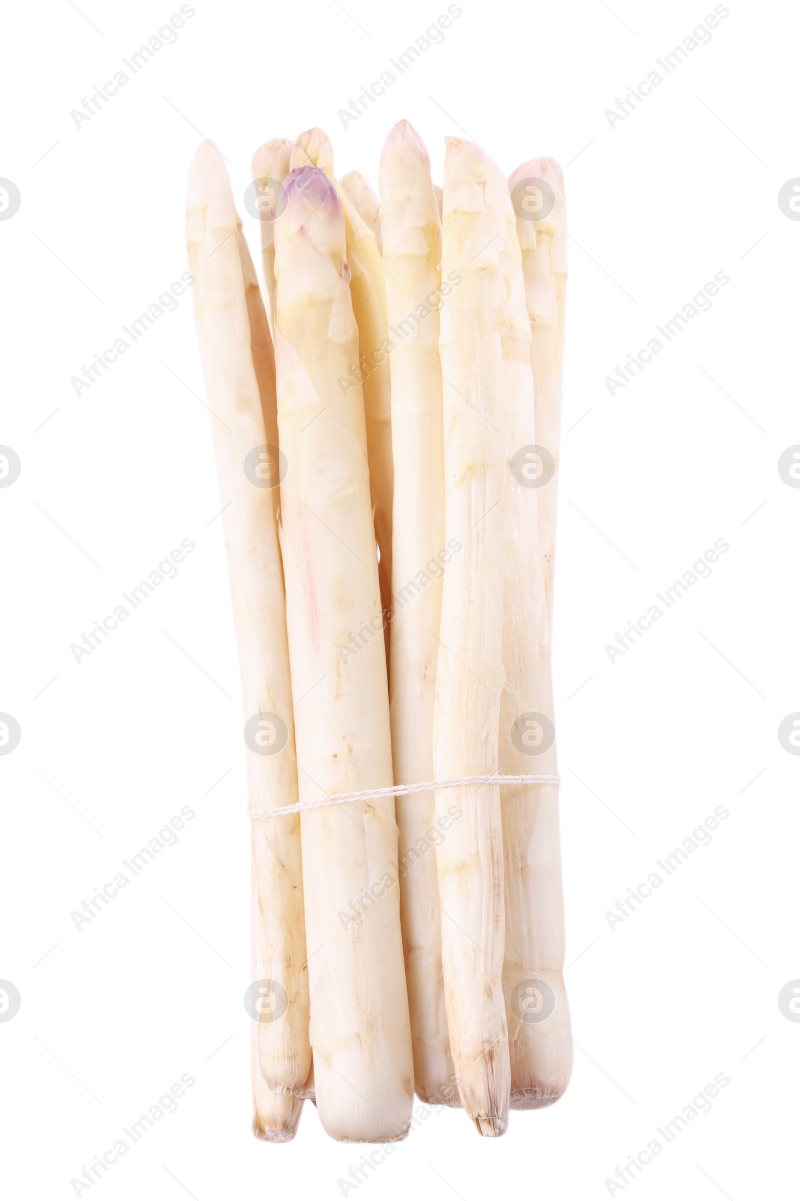 Bunch of raw asparagus spears isolated on white Photo of Bunch of raw asparagus spears isolated on white