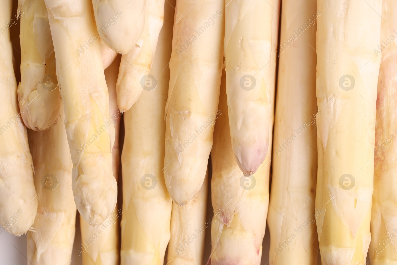 Photo of Raw white asparagus spears as background, closeup