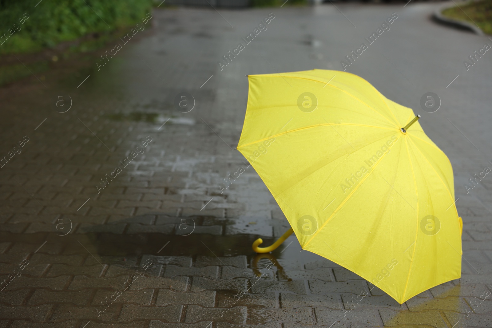 Yellow umbrella on wet asphalt outdoors, space for text Photo of Yellow umbrella on wet asphalt outdoors, space for text