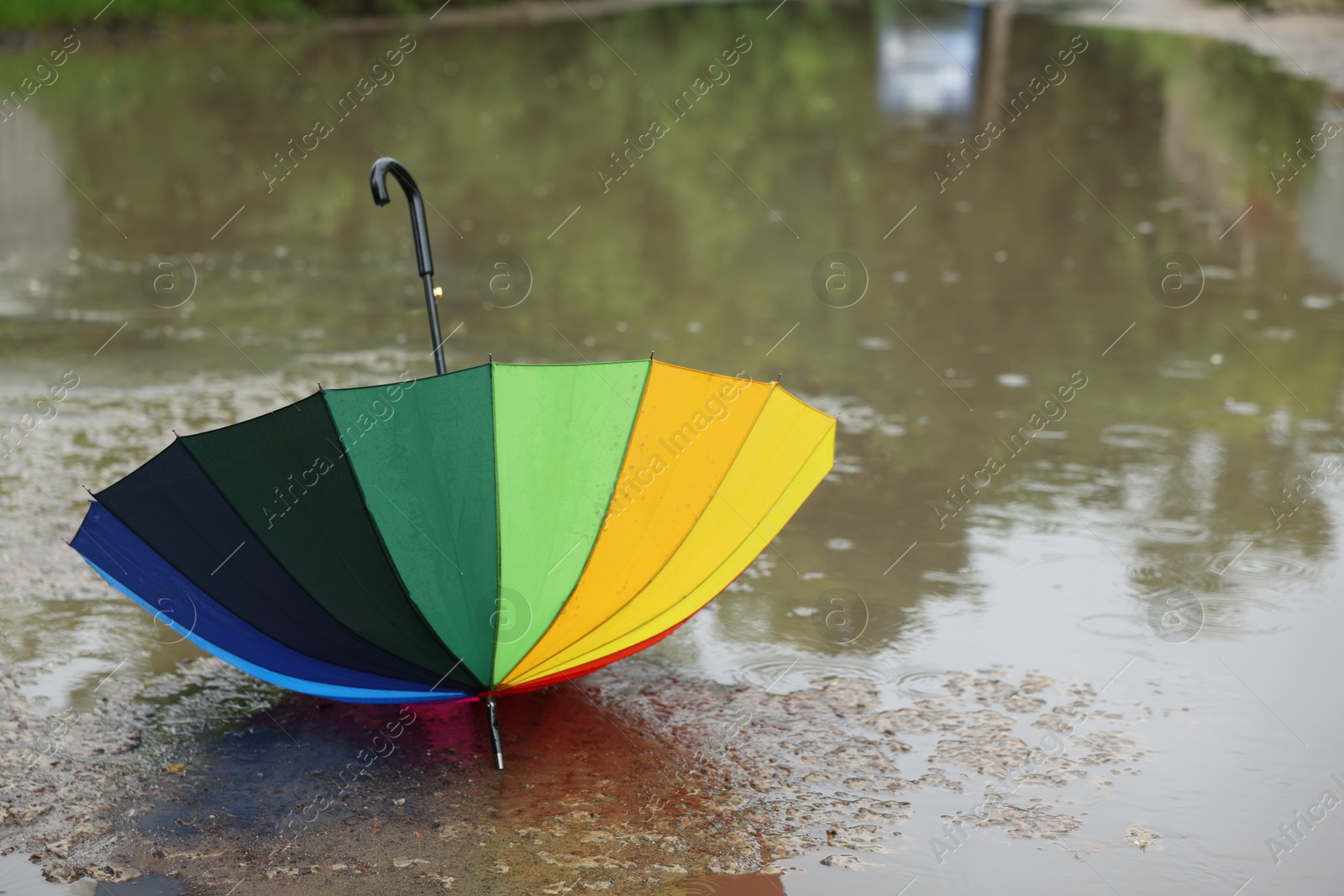Colorful umbrella on wet asphalt under heavy rain. Space for text Photo of Colorful umbrella on wet asphalt under heavy rain. Space for text