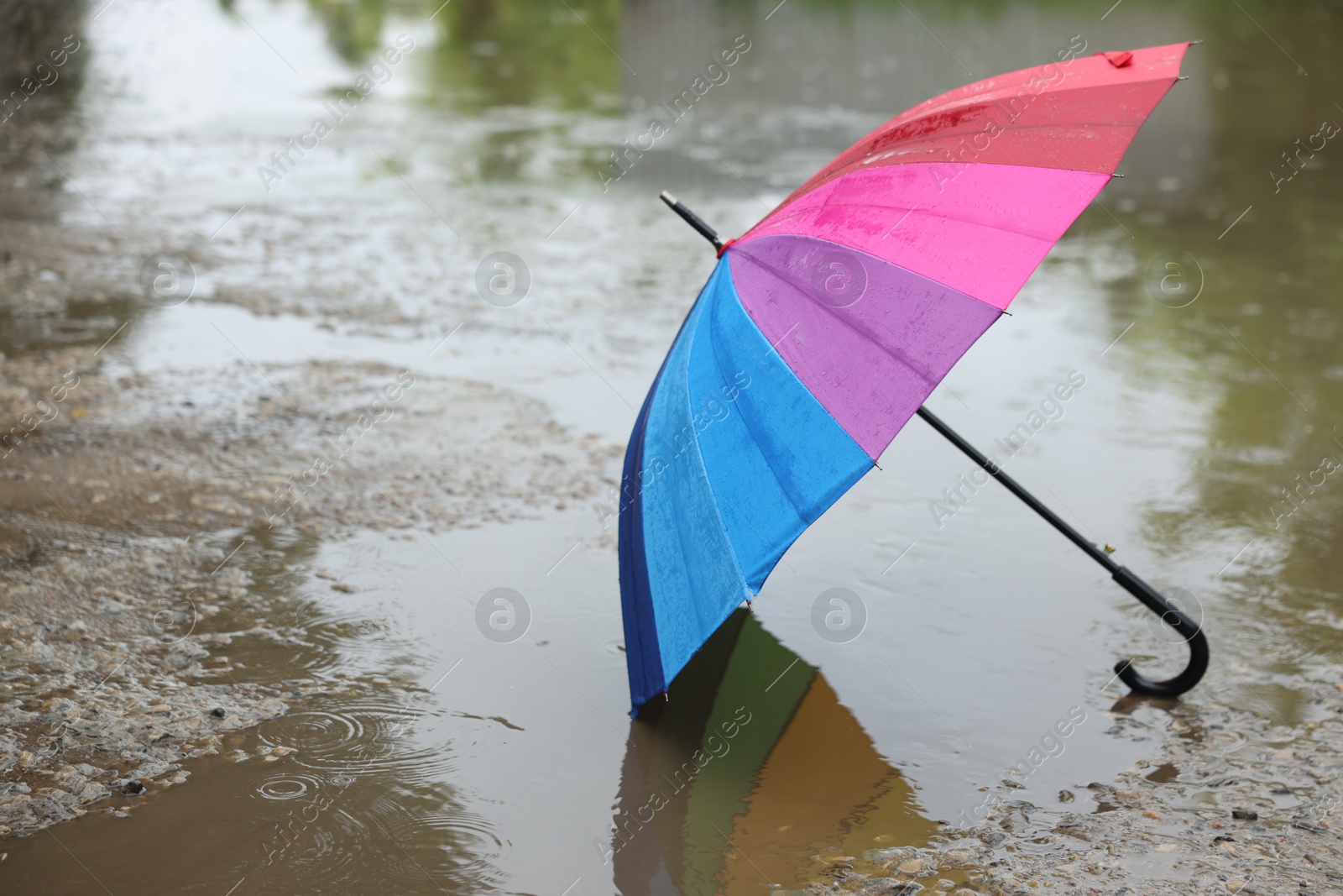 Colorful umbrella on wet asphalt under heavy rain. Space for text Photo of Colorful umbrella on wet asphalt under heavy rain. Space for text