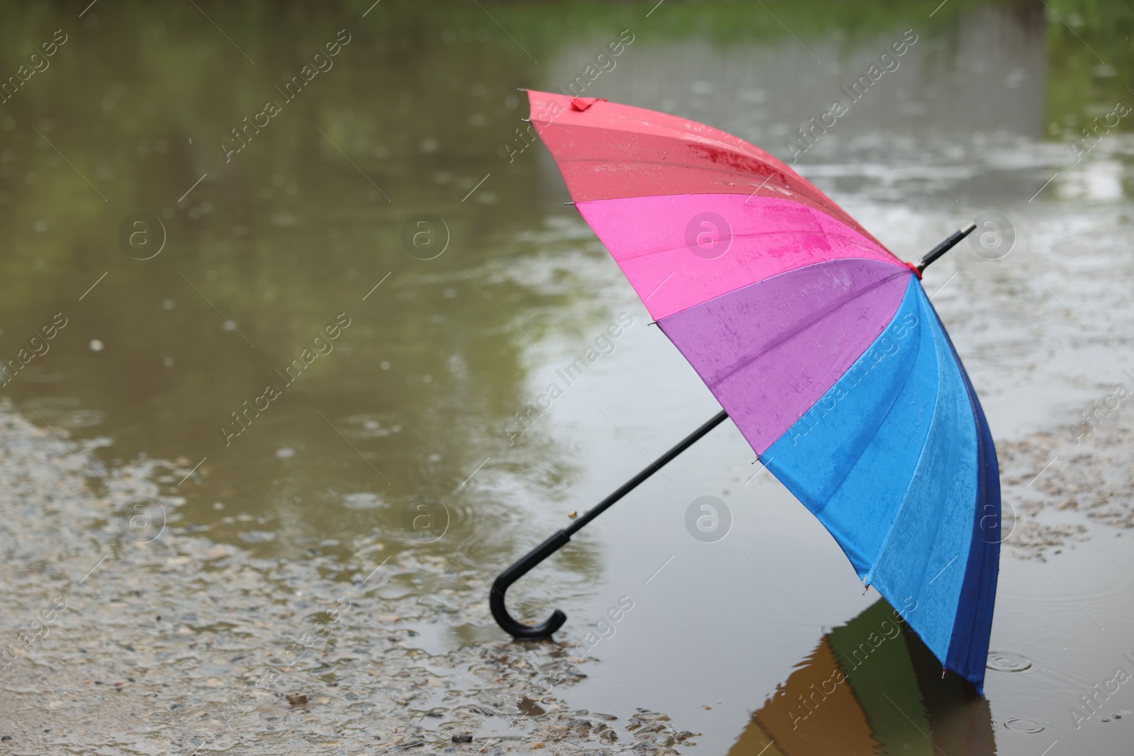 Colorful umbrella on wet asphalt under heavy rain. Space for text Photo of Colorful umbrella on wet asphalt under heavy rain. Space for text
