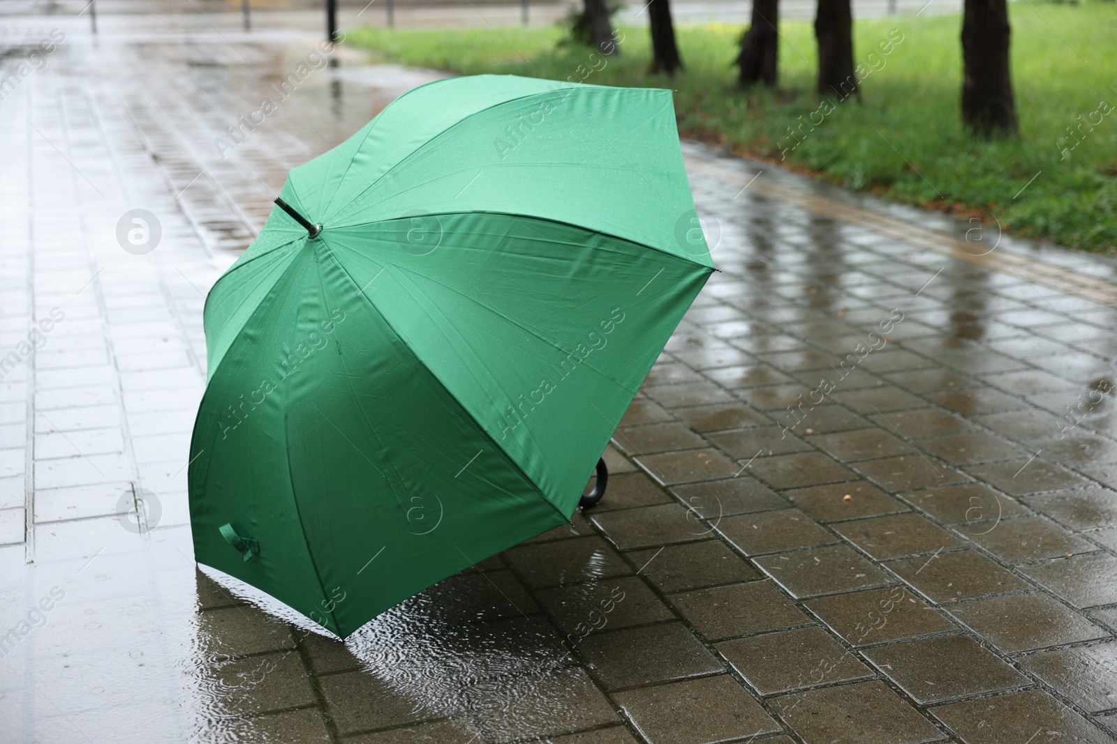Green umbrella on wet asphalt under heavy rain, space for text Photo of Green umbrella on wet asphalt under heavy rain, space for text