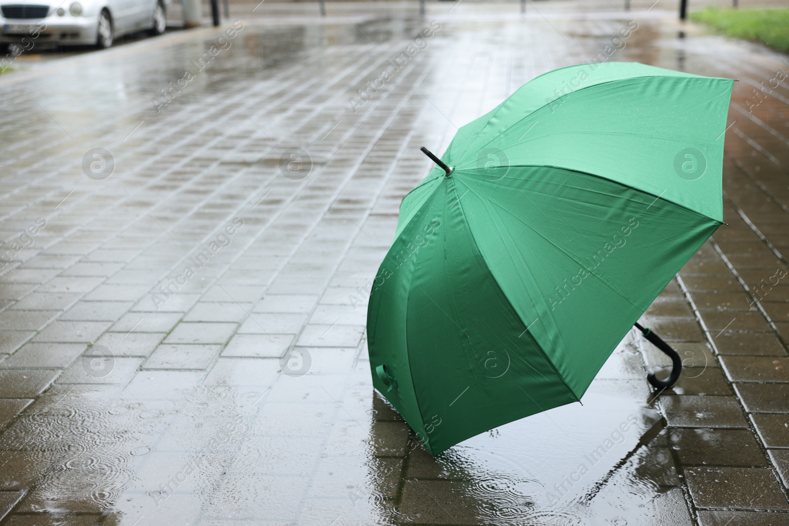 Green umbrella on wet asphalt under heavy rain, space for text Photo of Green umbrella on wet asphalt under heavy rain, space for text