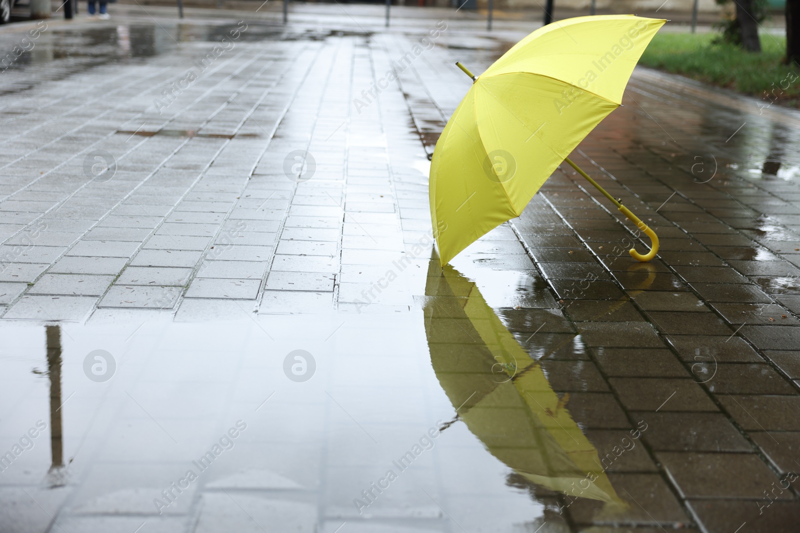 Yellow umbrella on wet asphalt outdoors, space for text Photo of Yellow umbrella on wet asphalt outdoors, space for text