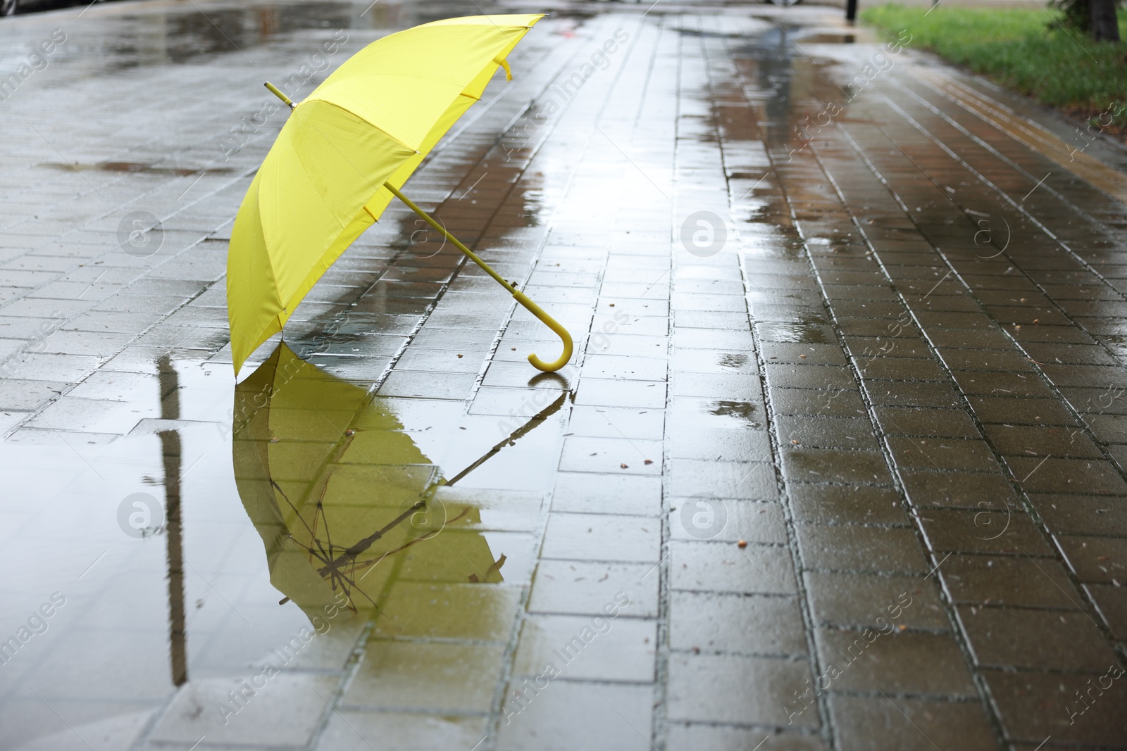 Yellow umbrella on wet asphalt outdoors, space for text Photo of Yellow umbrella on wet asphalt outdoors, space for text