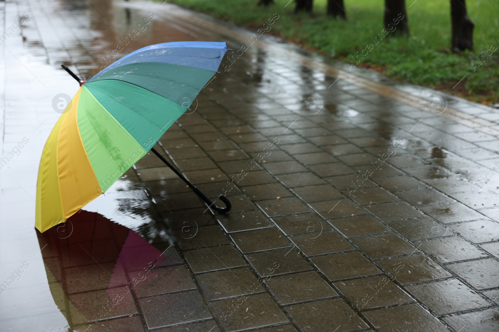 Colorful umbrella on wet asphalt outdoors, space for text Photo of Colorful umbrella on wet asphalt outdoors, space for text