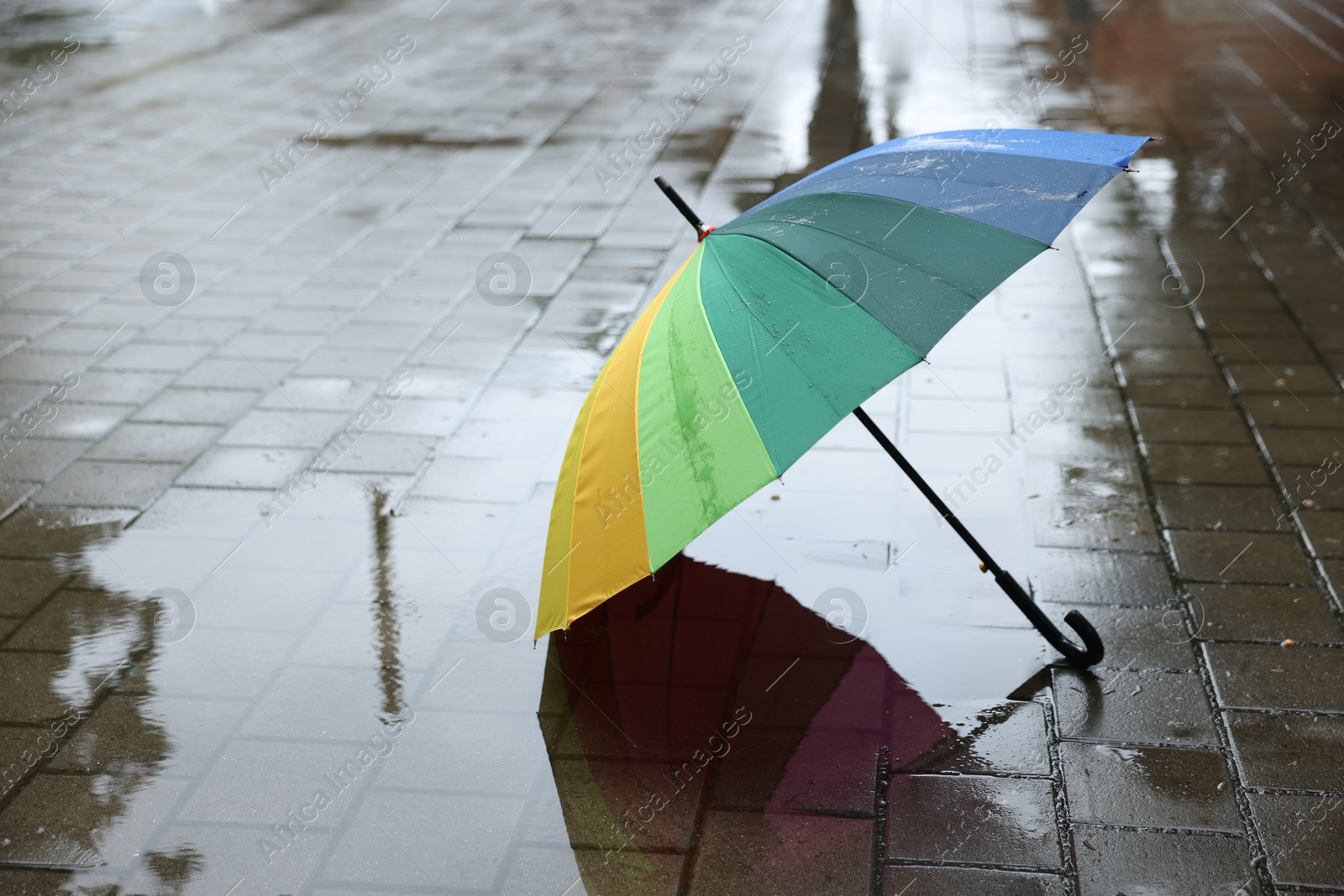 Colorful umbrella on wet asphalt outdoors, space for text Photo of Colorful umbrella on wet asphalt outdoors, space for text
