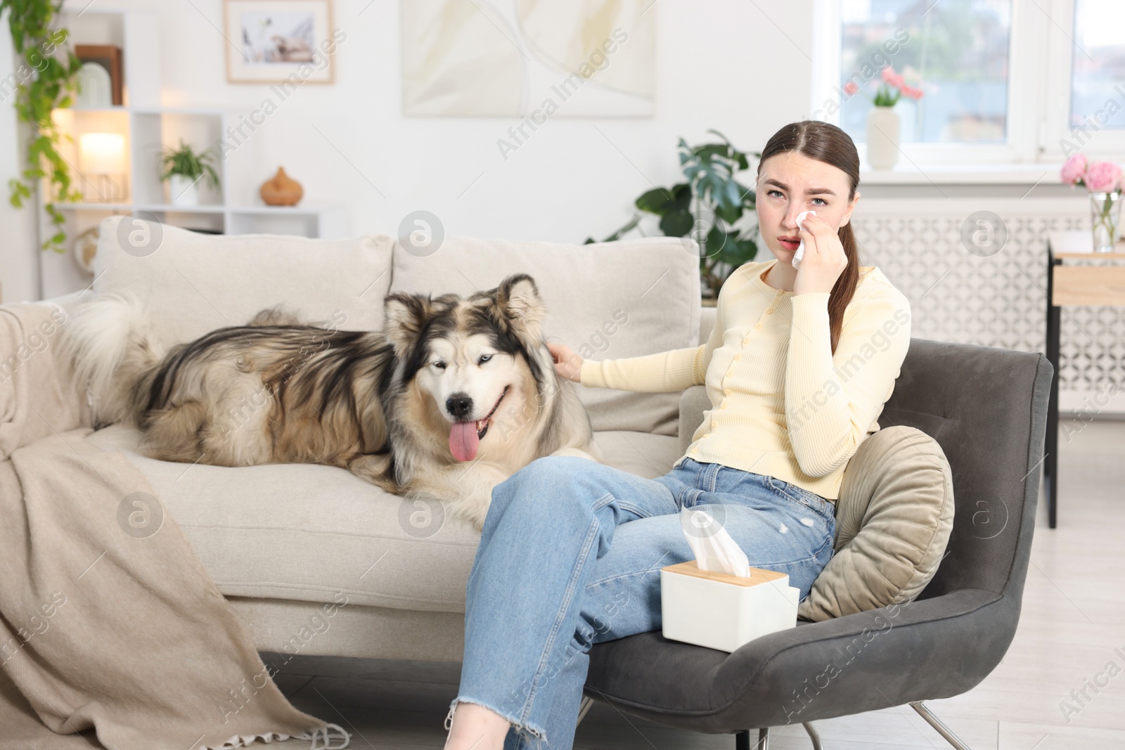 Woman suffering from allergy with her dog at home Photo of Woman suffering from allergy with her dog at home