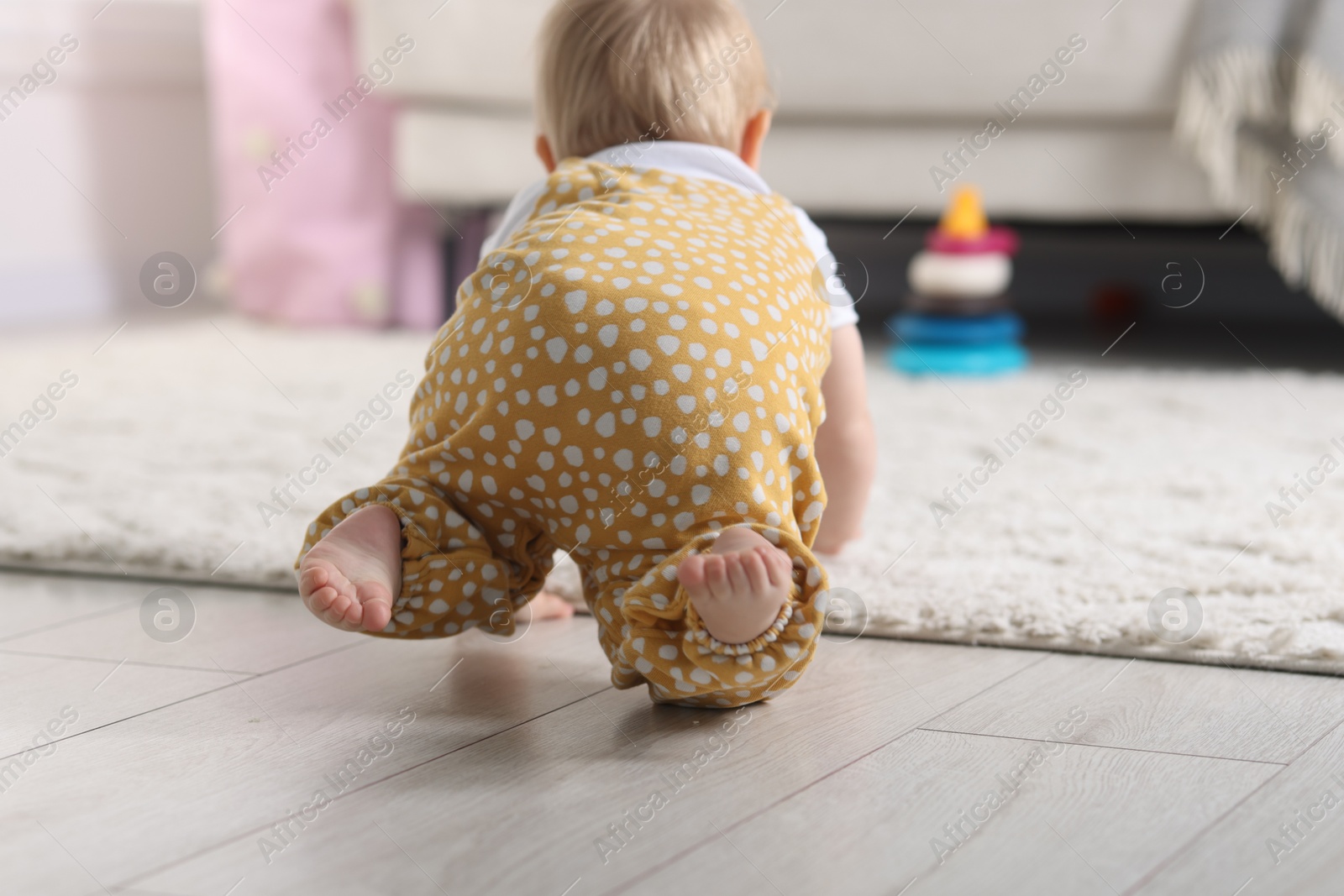 Cute little baby crawling on floor at home, back view Photo of Cute little baby crawling on floor at home, back view