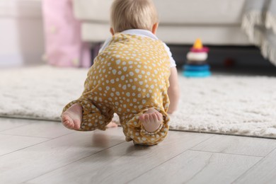 Photo of Cute little baby crawling on floor at home, back view
