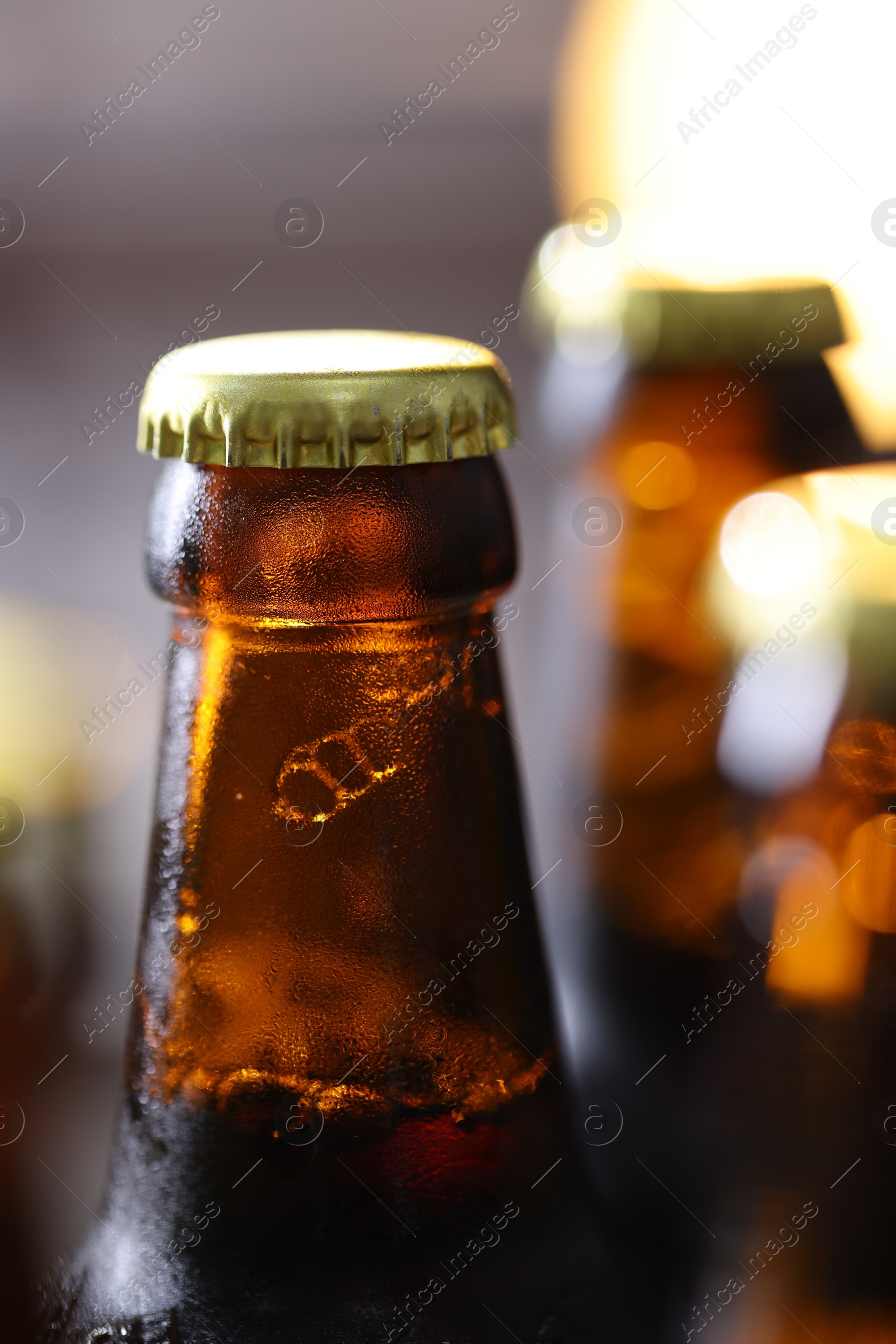 Bottle of tasty beer on blurred grey background, macro view Photo of Bottle of tasty beer on blurred grey background, macro view