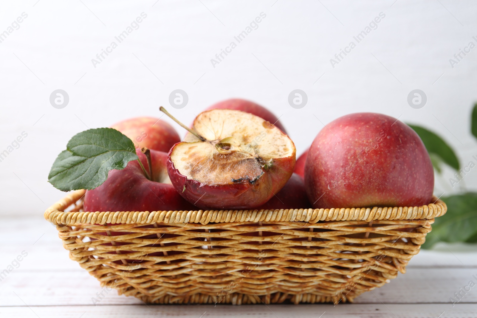 Spoiled apple and good ones in basket on white wooden table, closeup Photo of Spoiled apple and good ones in basket on white wooden table, closeup