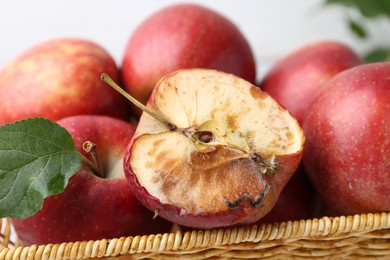 Photo of Spoiled apple and good ones in basket on white table, closeup