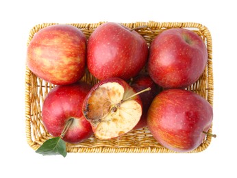 Photo of Spoiled apple and good ones in basket isolated on white, top view