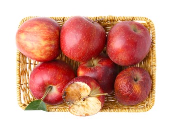 Photo of Spoiled apple and good ones in basket isolated on white, top view