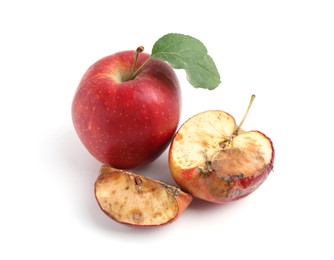 Photo of Spoiled and good apples isolated on white
