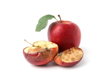 Photo of Spoiled and good apples isolated on white