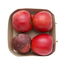 Photo of Spoiled apple and good ones in box isolated on white, top view