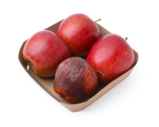Photo of Spoiled apple and good ones in box isolated on white