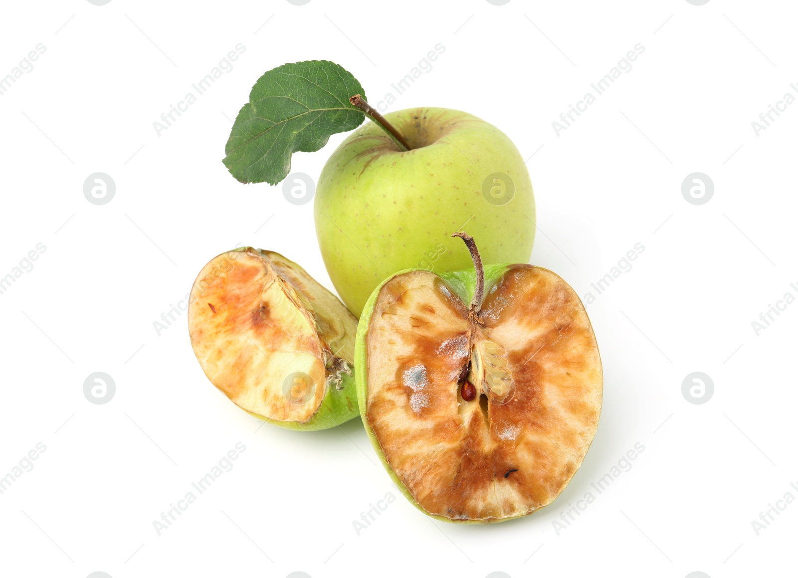 Spoiled and good apples isolated on white Photo of Spoiled and good apples isolated on white